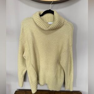 Lush Soft Pistachio Turtleneck Sweater